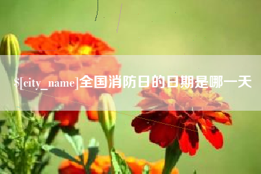 姜堰全国消防日的日期是哪一天