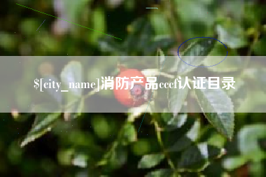 姜堰消防产品cccf认证目录