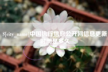 姜堰中国执行信息公开网信息更新时间是多久