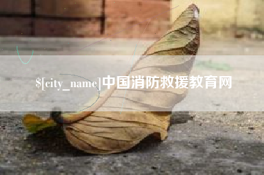 姜堰中国消防救援教育网