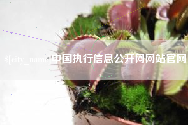 姜堰中国执行信息公开网网站官网