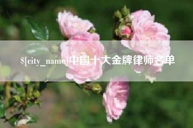 姜堰中国十大金牌律师名单