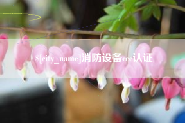 姜堰消防设备ccc认证