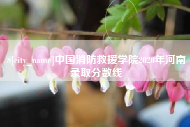 姜堰中国消防救援学院2020年河南录取分数线