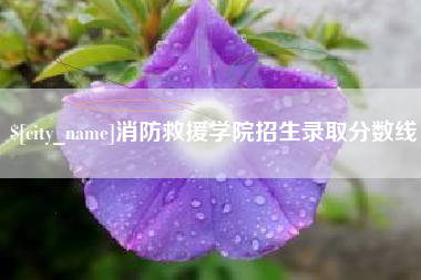姜堰消防救援学院招生录取分数线