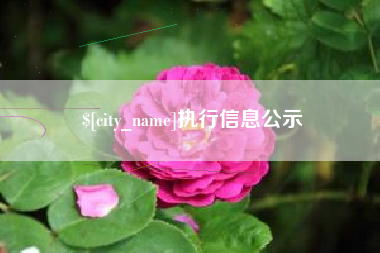 姜堰执行信息公示
