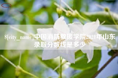 姜堰中国消防救援学院2021年山东录取分数线是多少