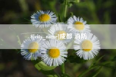 姜堰成都 消防