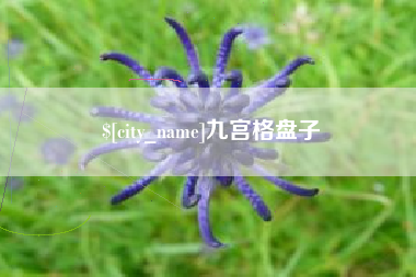 姜堰九宫格盘子