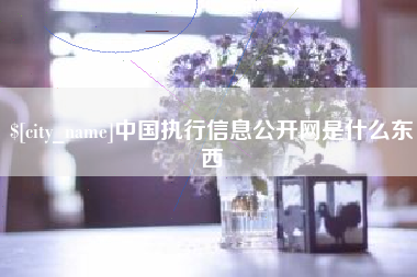 姜堰中国执行信息公开网是什么东西