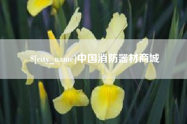 姜堰中国消防器材商城