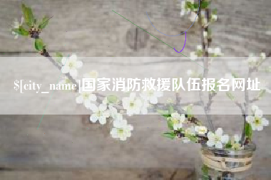 姜堰国家消防救援队伍报名网址