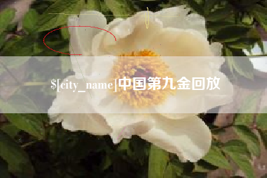 姜堰中国第九金回放