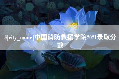 姜堰中国消防救援学院2021录取分数