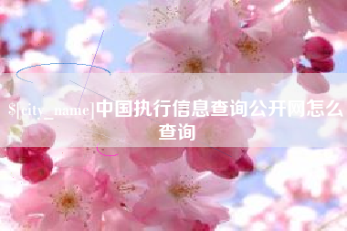 姜堰中国执行信息查询公开网怎么查询