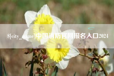 姜堰中国消防官网报名入口2024