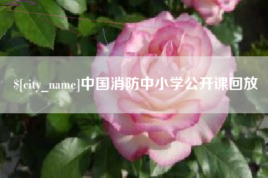 姜堰中国消防中小学公开课回放