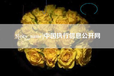 姜堰中国执行信息公开网