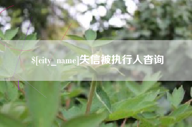 姜堰失信被执行人杳询