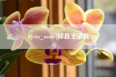 姜堰邱县王子磊