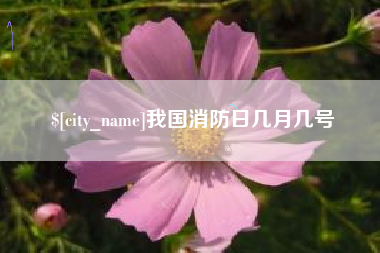 姜堰我国消防日几月几号
