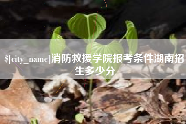 姜堰消防救援学院报考条件湖南招生多少分