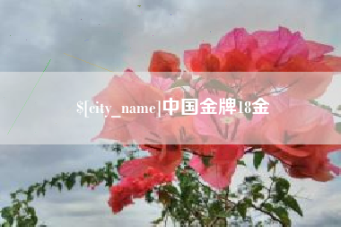 姜堰中国金牌18金