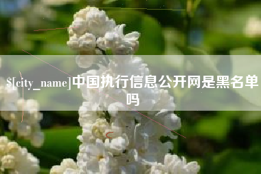 姜堰中国执行信息公开网是黑名单吗