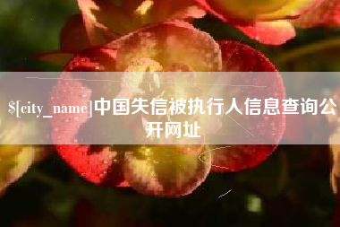 姜堰中国失信被执行人信息查询公开网址