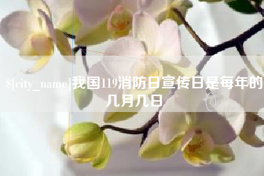 姜堰我国119消防日宣传日是每年的几月几日