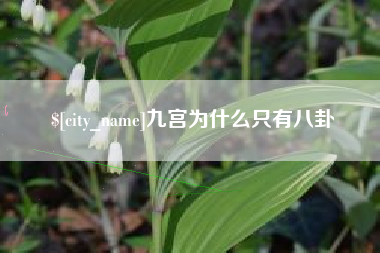 姜堰九宫为什么只有八卦