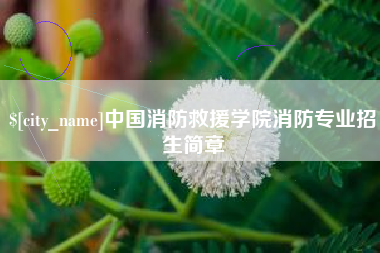 姜堰中国消防救援学院消防专业招生简章