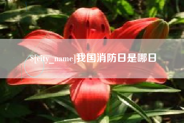 姜堰我国消防日是哪日