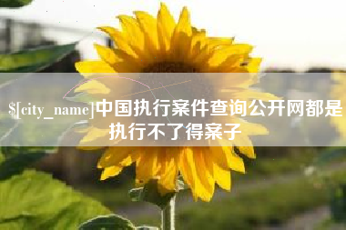 姜堰中国执行案件查询公开网都是执行不了得案子