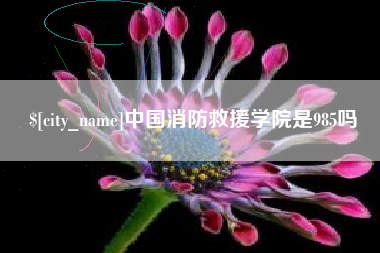 姜堰中国消防救援学院是985吗