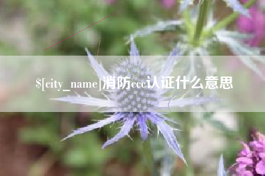 姜堰消防ccc认证什么意思
