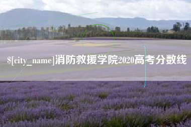 姜堰消防救援学院2020高考分数线