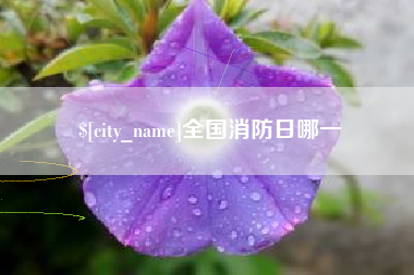 姜堰全国消防日哪一