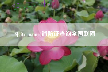 姜堰消防证查询全国联网