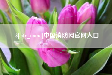 姜堰中国消防网官网入口