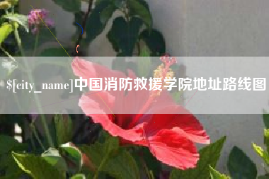 姜堰中国消防救援学院地址路线图