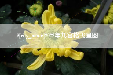 姜堰2022年九宫格飞星图