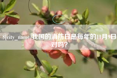 姜堰我国的消防日是每年的11月9日对吗？