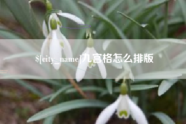 姜堰九宫格怎么排版