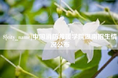姜堰中国消防救援学院湖南招生情况公布