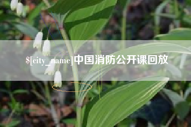 姜堰中国消防公开课回放