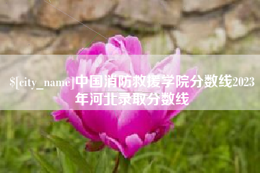 姜堰中国消防救援学院分数线2023年河北录取分数线