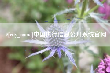 姜堰中国执行信息公开系统官网