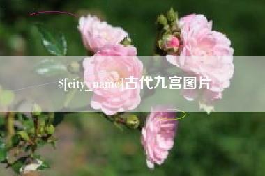 姜堰古代九宫图片