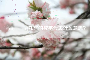 姜堰九宫的数字代表什么意思？